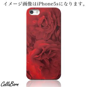 CollaBorn スマホカバー iPhone5／5s 「Red Rose」