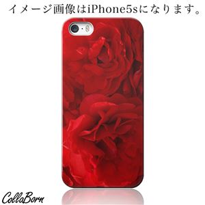 CollaBorn スマホカバー Xperia Z1(SO-01F) 「RED ROSE」