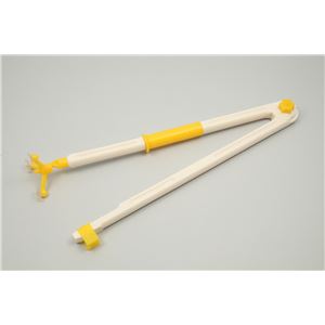 コンパス 50cm