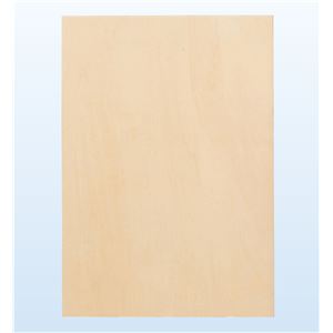 パネル 木炭紙判