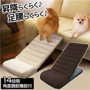 ペット用品 小型犬 中型犬の玄関やソファ ベッドなどの昇降時に足腰負担を軽減するスロープ アイフソーの気ままなamebaブログ