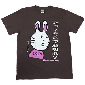 【アホ研究所・アホTシャツ・自虐Tシャツ】毒舌うさこ え?逆切れ? Sサイズ グレー