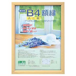 ナカバヤシ（株） モクセイケイリヨウガク（キジ）パツク／ハチニ 【木製軽量額縁 木地】