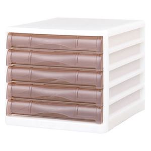 ナカバヤシ（株） アバンテエクセレントレターケースEX55クリアブラウン 【エクセレントレターケースEX55】