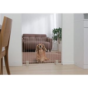 システムペットフェンス STF-609 イエローSTF-609