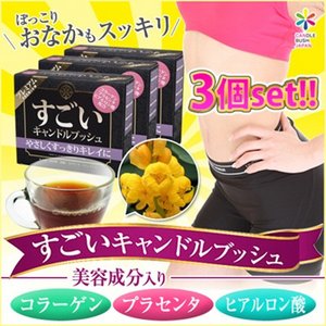 【大人気！！】飲むだけでドッサリ！美容成分コラーゲン・プラセンタ・ヒアルロン酸・ローズヒップ配合！【安心・安全の国内生産】糖質ゼロ/カロリーゼロ/無香料・無着色/農薬無検出『すごいキャンドルブッシュ』３個セット！