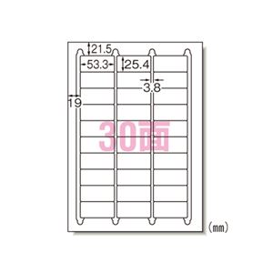 エーワン ラベルシール〈インクジェット〉 マット紙（A4判） 100枚入 29192 100枚