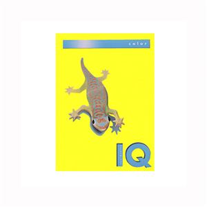 伊東屋 バイオトップカラー A4判 250枚入 120g/m2 BT712 カナリーイエロー 250枚