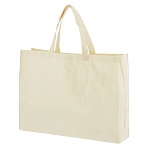 サンナップ 不織布手提げバッグ 大 FB-53BE ベージュ 10枚