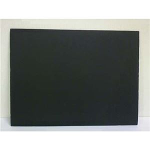 プラチナ万年筆 プレパネ APA1-2700 黒 1枚