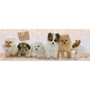 エポック社 52-722 ころころわんこ～ず 【ジグソーパズル】