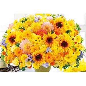 ビバリー 61-315 毎日が輝く ハッピーイエロー 1000P 【ジグソーパズル】