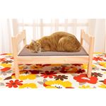 ペット用木製ベッド 1個