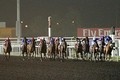 Ｅフラッシュの６着が最高 競馬のドバイ・ワールドＣ