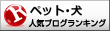 人気ブログランキングへ