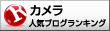 人気ブログランキングへ