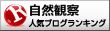 人気ブログランキングへ