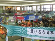 阿蘇くまもと空港にこいのぼり－震災復興応援メッセージ込めたなびく