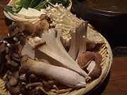 赤坂にキノコ料理専門店－スタッフのニックネームは全員キノコ