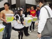 秋葉原でZERO1レスラーとメードらが街頭募金－「破壊王子」橋本大地さんの姿も