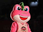 秋田NHマスコット「ビッキー」がダンク挑戦へ－ツイッターで宣言
