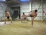 大相撲九州場所に合わせ「相撲部屋見学とまち歩きツアー」