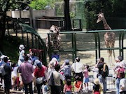 野毛山動物園が市民モニター募集-より良い動物園作りを目的に
