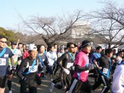 姫路城周回コースを駆け抜ける「姫路城駅伝大会」、参加チーム最多に