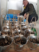 広島・草津漁港に生産者直営の「カキ小屋」－カキむすび、串も人気に