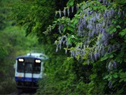 白山で湯浅啓さん写真展「鉄道のある風景」－北陸の風景27点紹介