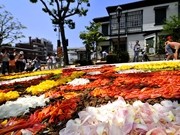 神戸・北野で「インフィオラータこうべ北野坂」－チューリップの花びらで描画