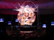 金魚3千匹で生きるアート－大丸ミュージアムで「アートアクアリウム展」