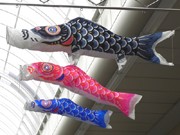 神戸・元町6丁目商店街に「こいのぼり」泳ぐ－北播磨PRで