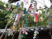 神戸市立相楽園に「七夕飾り」－全長5メートルのササ竹4本用意