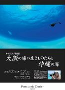 パナソニックセンターで中村征夫さん写真展－「大阪の海の生きもの」テーマに