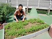 なんばの屋上を菜園に－「おもしろ農業」が提案する「農的」生活