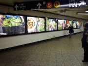 ブルックリン、アトランティックアベニュー駅構内で写真展－地元野菜の恵み伝える