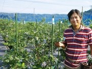 岡崎にブルーベリー狩りシーズン到来－脱サラオーナーが展開する観光農園