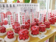 南三陸町の「オクトパス君」、売れ行き40倍に－「置くとパス」で合格祈願