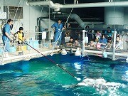 品川のホテル、子ども向け体験プランプラン続々－京急バスプランも