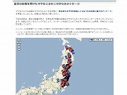 マクロミル、震災支援特設サイト開設－被災者の「生の声」掲載
