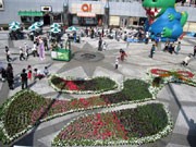 つくばで花苗をチャリティー配布－フラワーアートを有効活用