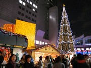 新梅田シティのツリーが点灯－「ドイツ・クリスマスマーケット」も始まる