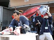 横須賀魚市場で「さかな祭り」－マグロ解体ショー、魚の競り売りも