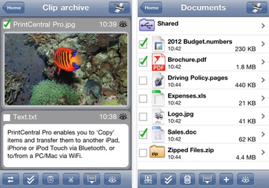 PRO Shoes - Sneaker Store