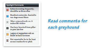 Horse Racing, Greyhounds And Sports |.
