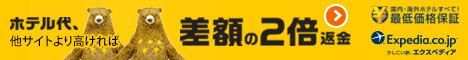 かしこい旅、エクスペディア