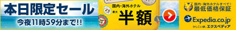 かしこい旅、エクスペディア