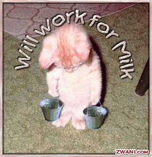 zwani.com myspace graphic comments