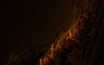 Cool Computer Wallpapers